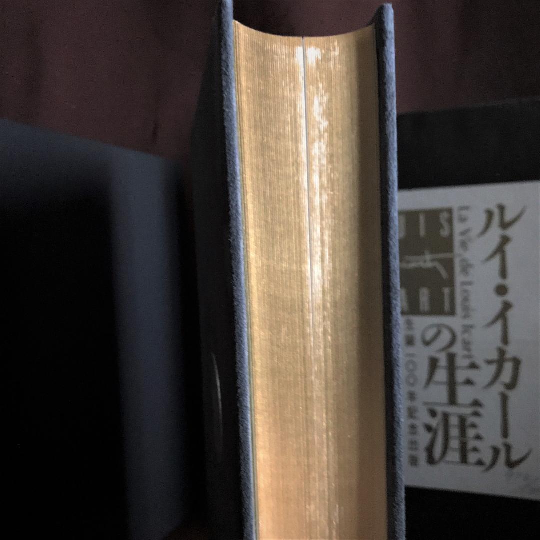 ルイ・イカールの生涯　　ー生誕100年記念出版－