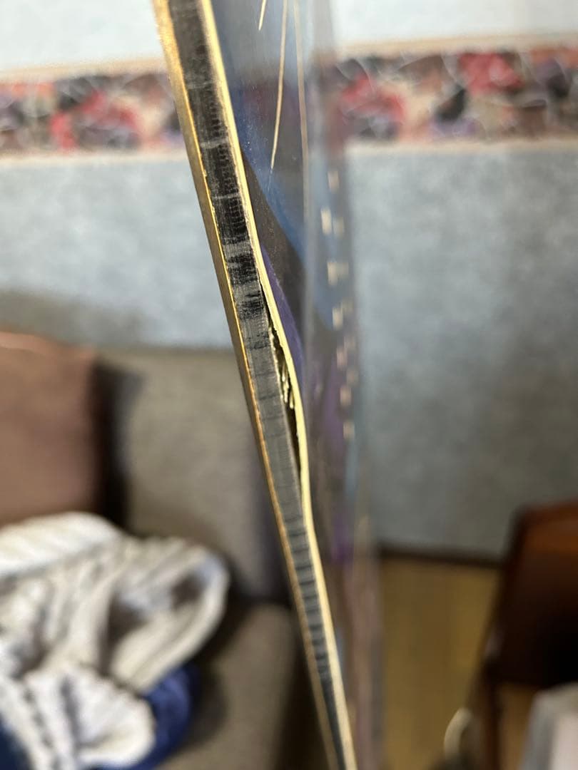 ゆ*＊様 リブテックJAMIE LYNN PHOENIX SERIES NUDE