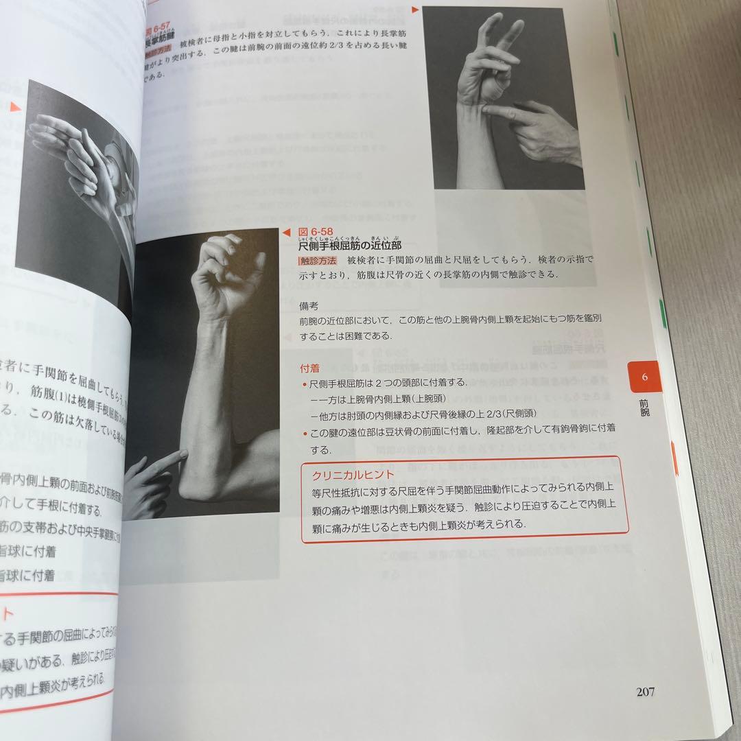 触診解剖アトラス 第3版