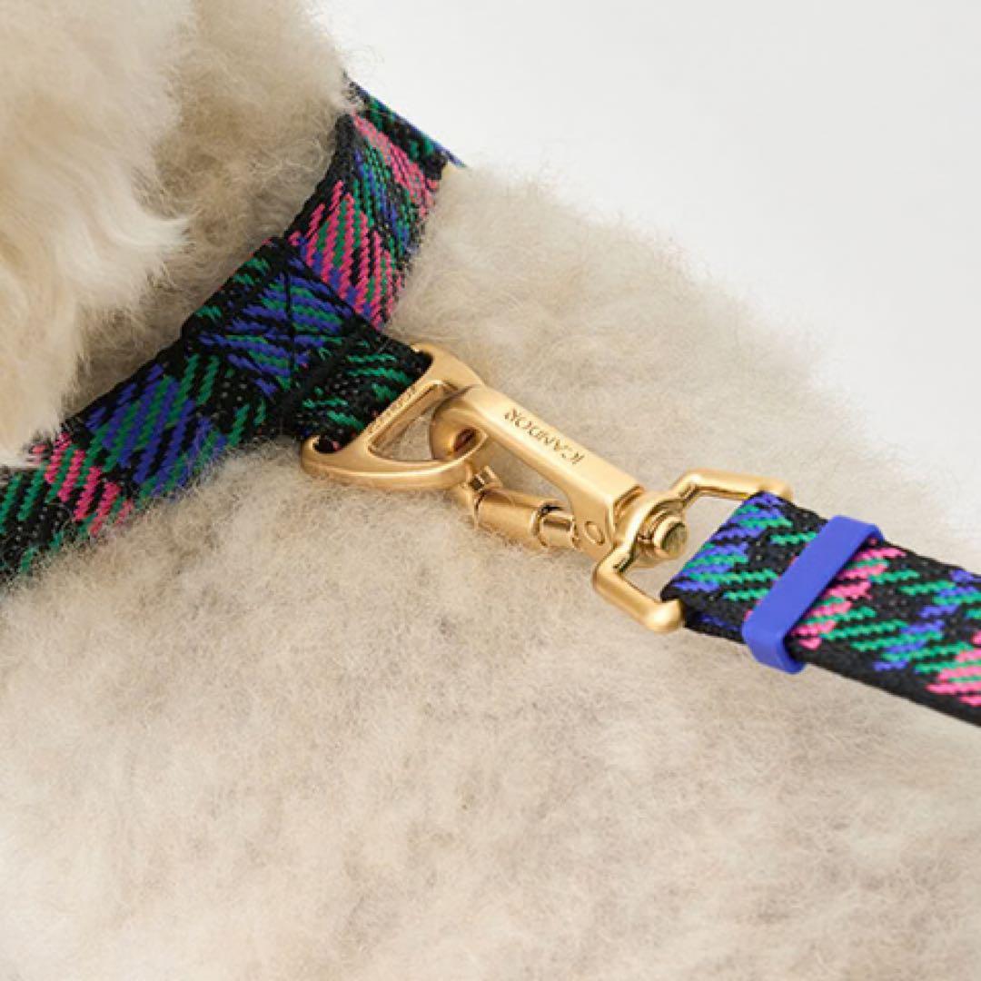 【ICANDOR】 首輪 ハーネス ショルダーリード 3点セット