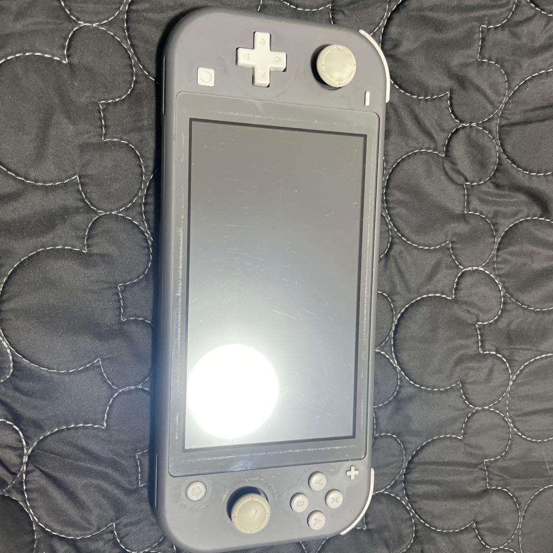 Switchライト ジャンク品