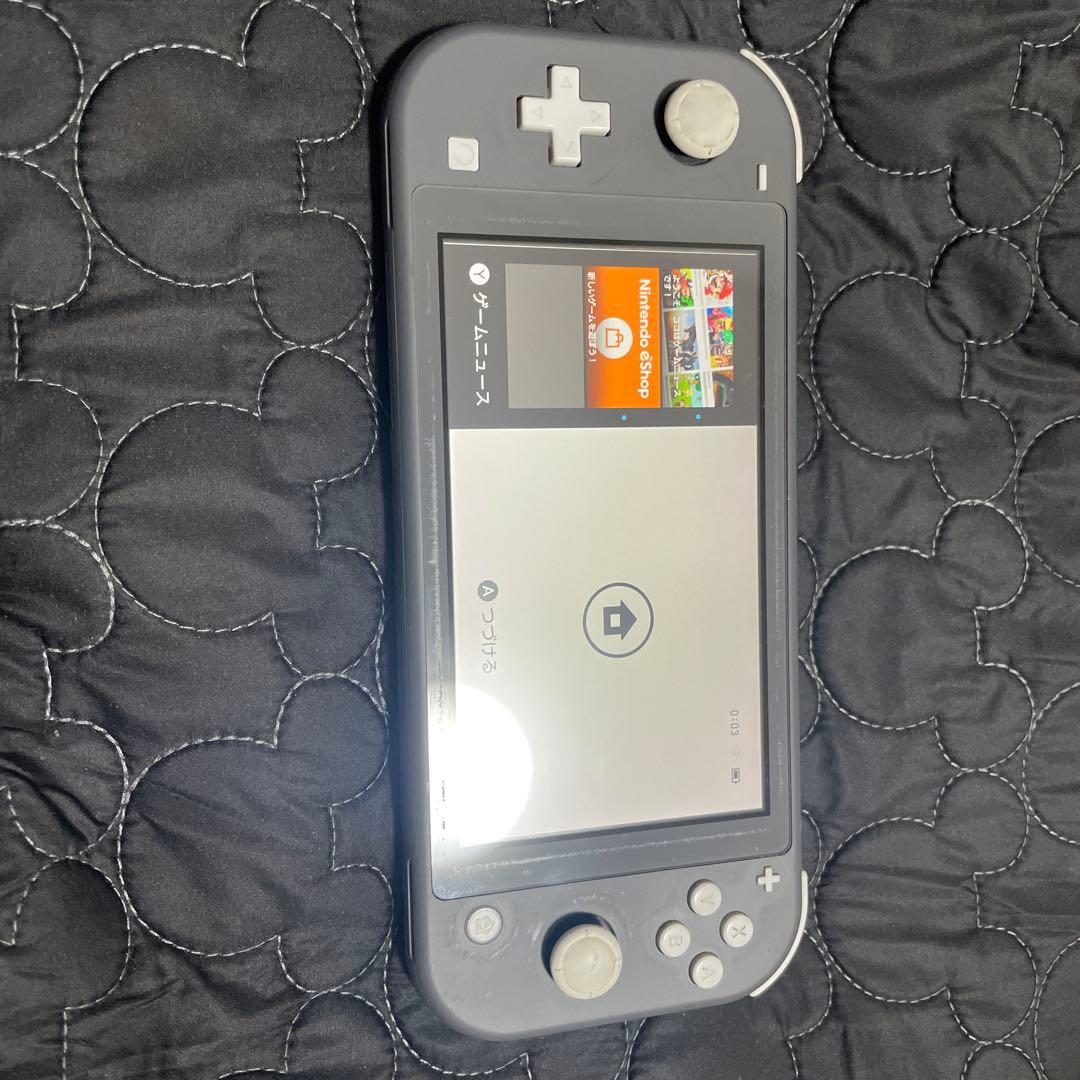 Switchライト ジャンク品