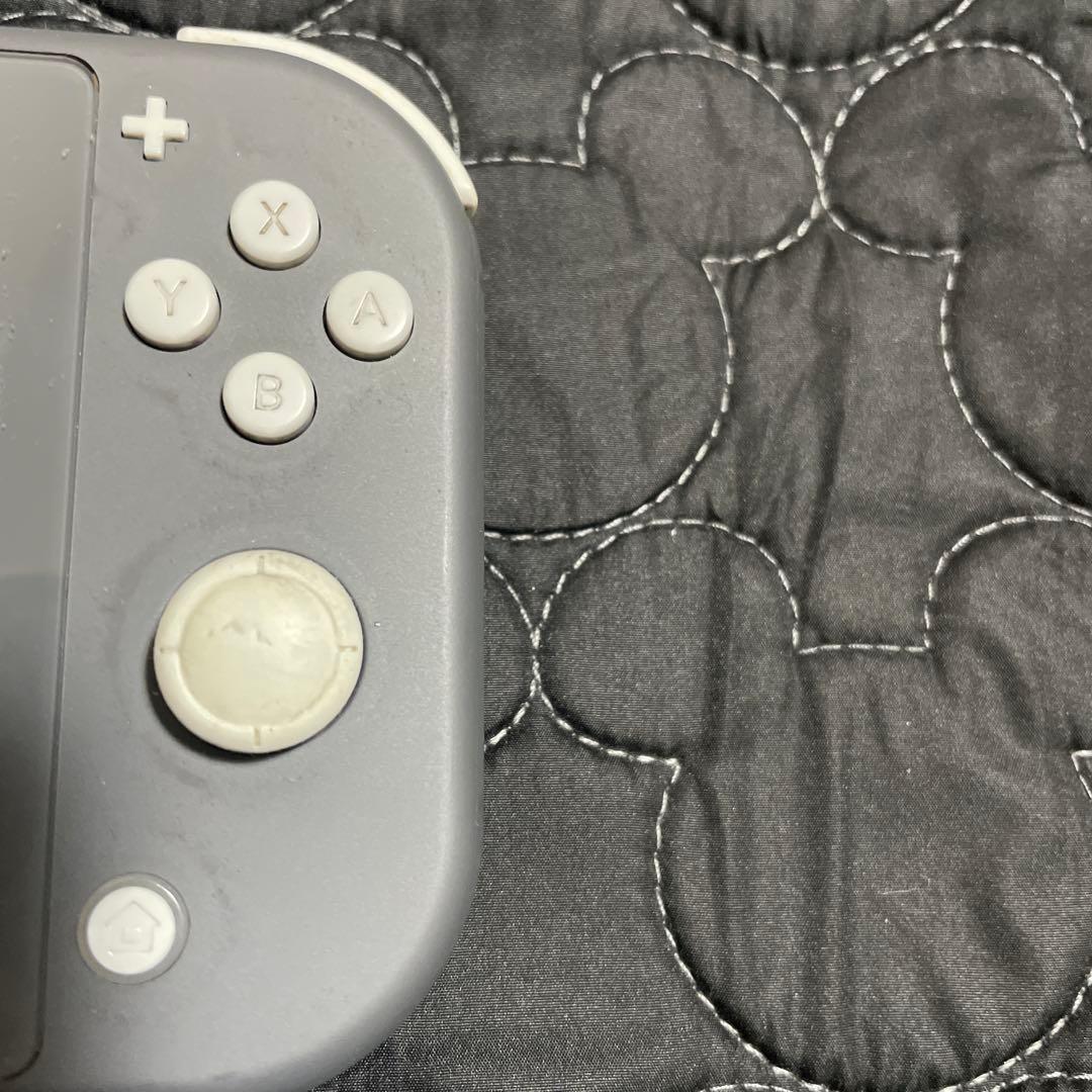 Switchライト ジャンク品