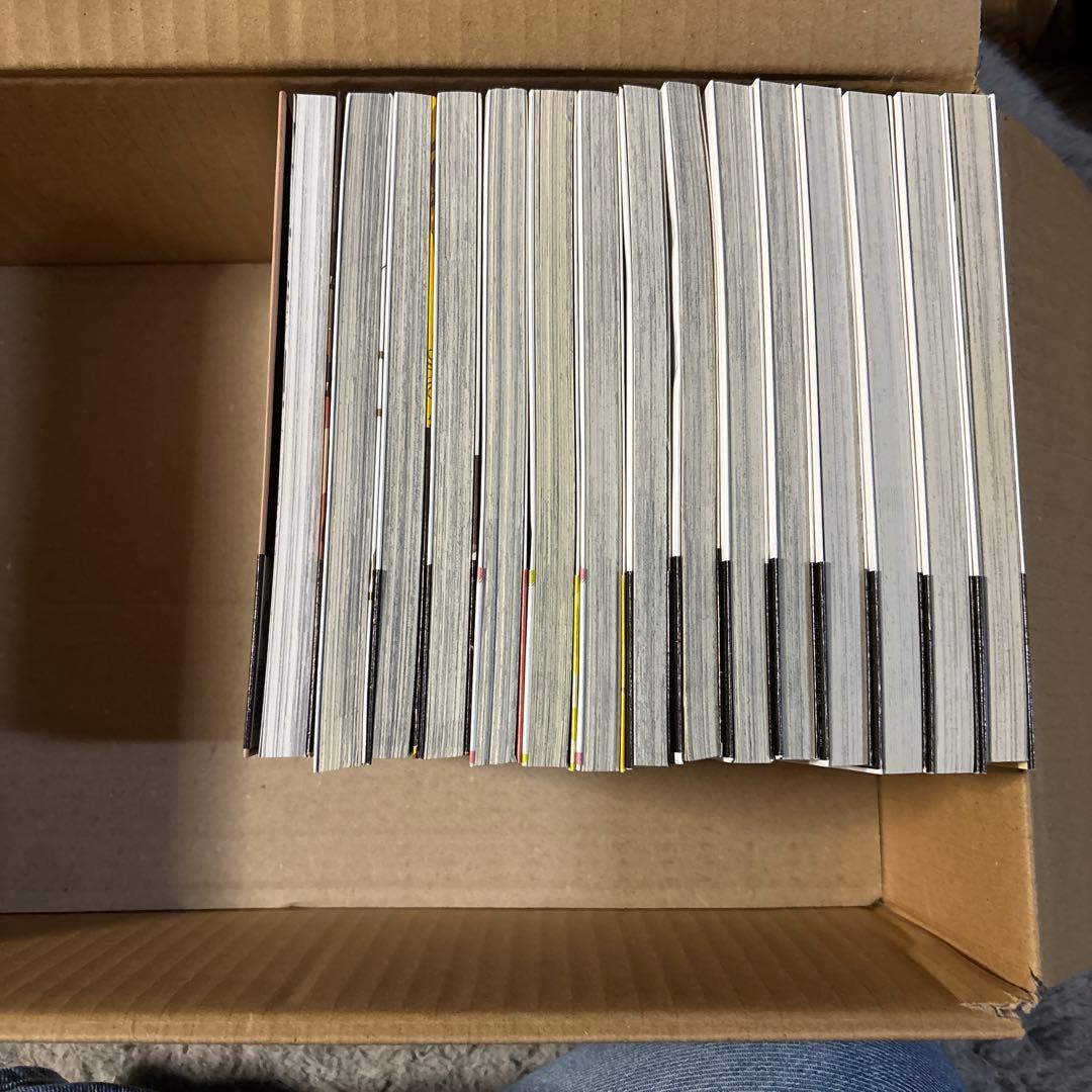 文豪ストレイドッグス　漫画