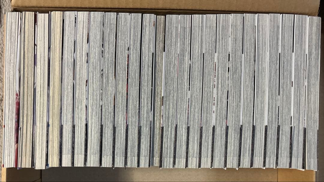 文豪ストレイドッグス　漫画