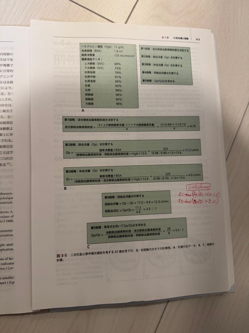 臨床血行動態学_裁断済み