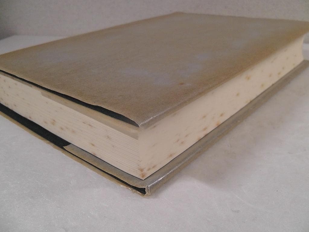 【傷みあり】 森田正馬全集 全７巻セット 白揚社 ★1982年～1987年 再版