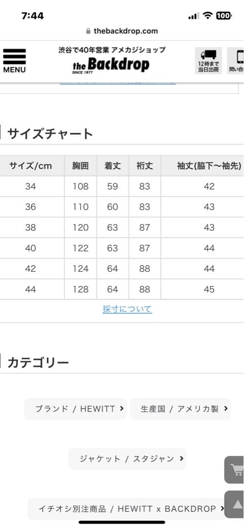 【希少品】スタジャン　キャッツアイ バックドロップ HEWITT アウター