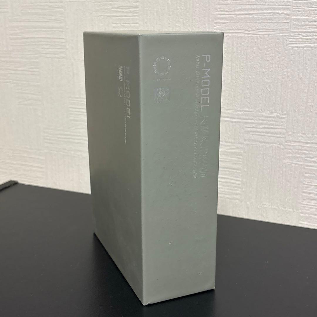 P-model 太陽系亞種音　平沢進