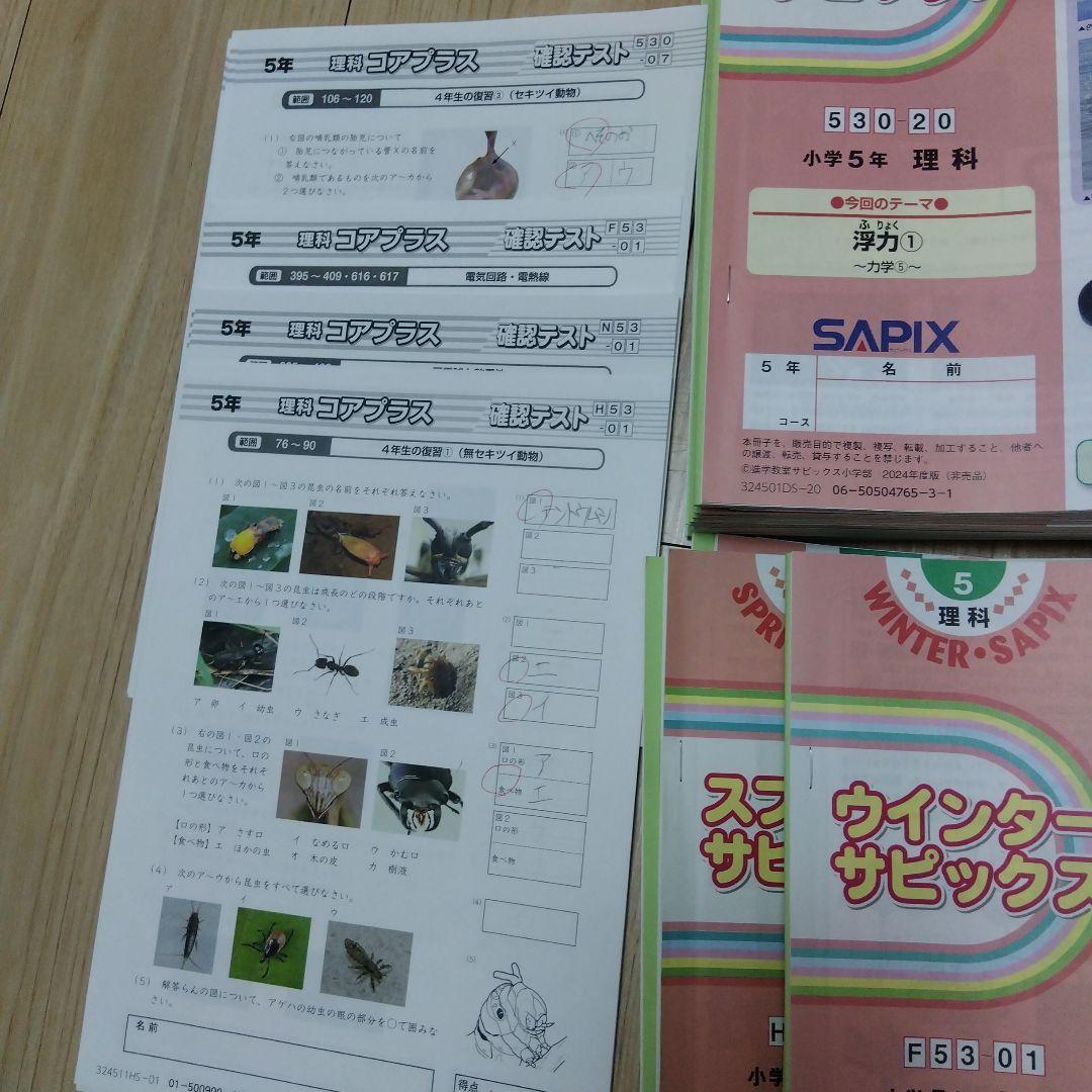 デイリーサピックス 理科・社会セット2024