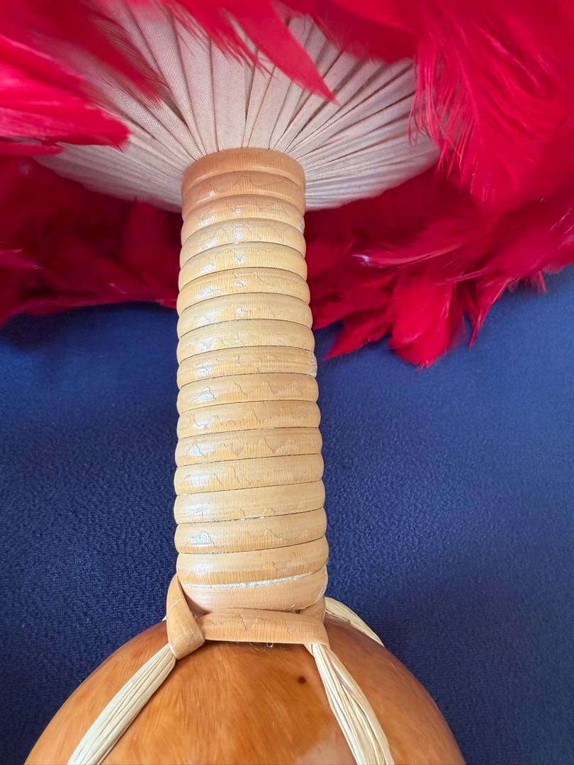 ウリウリ　楽器　フラダンス　一体型