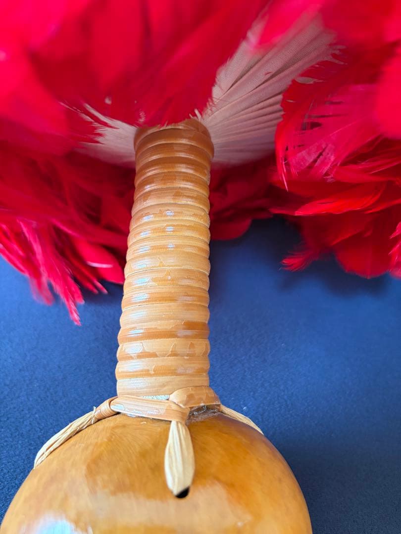 ウリウリ　楽器　フラダンス　一体型