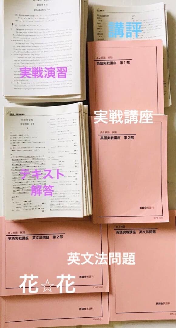 鉄緑会　高2 英語　最上位クラス　テキスト　プリント抜けなし　講評　東大