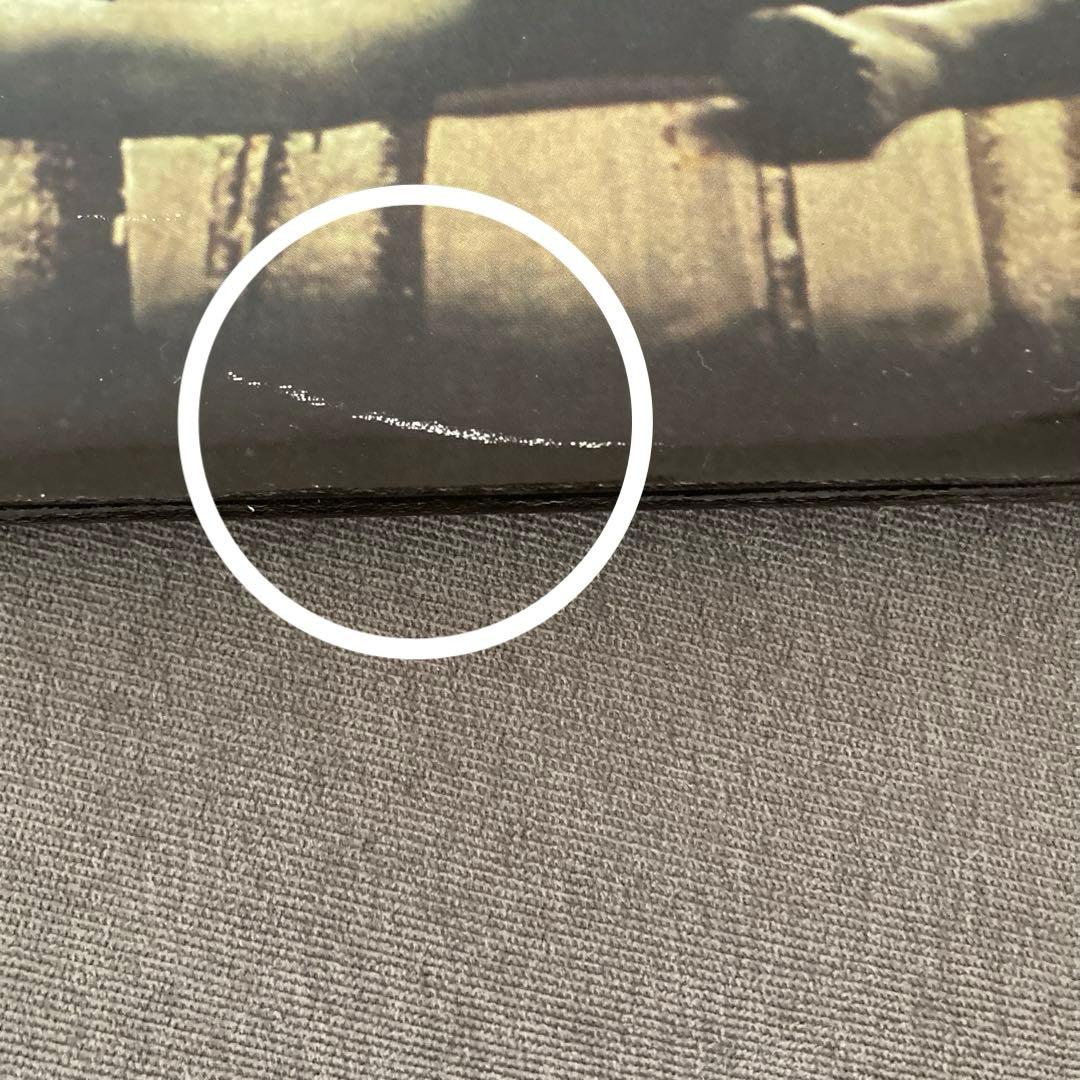 【匿名配送】Suede – Dog Man Star UK Orig. レコード