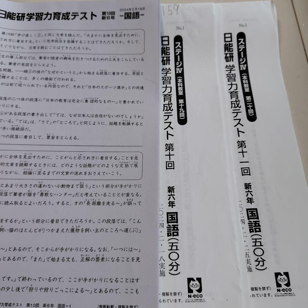 最新 43回分2024年版 6年　日能研　テスト1年分　 模試