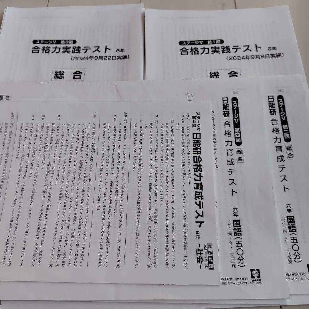 最新 43回分2024年版 6年　日能研　テスト1年分　 模試