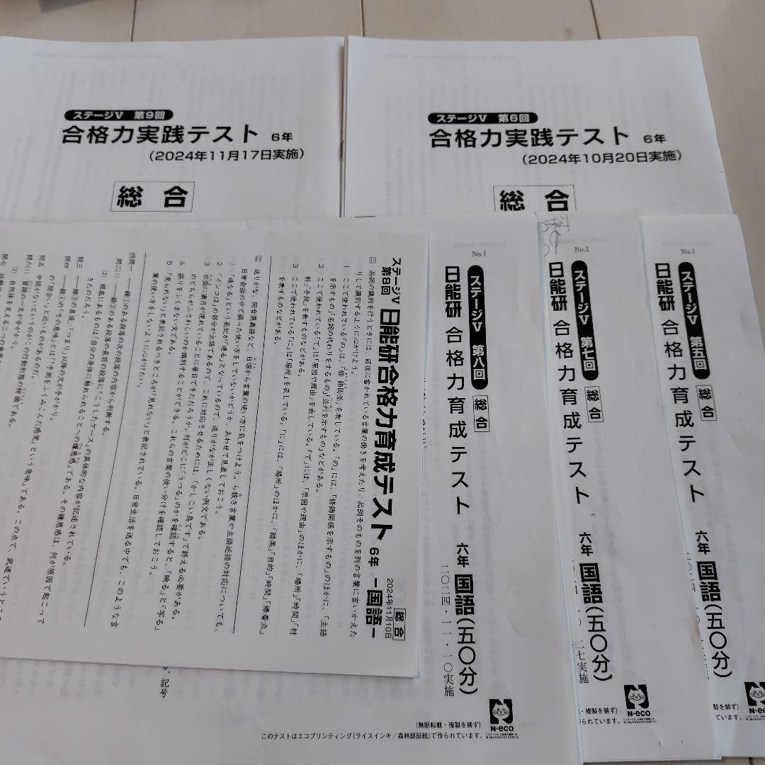 最新 43回分2024年版 6年　日能研　テスト1年分　 模試