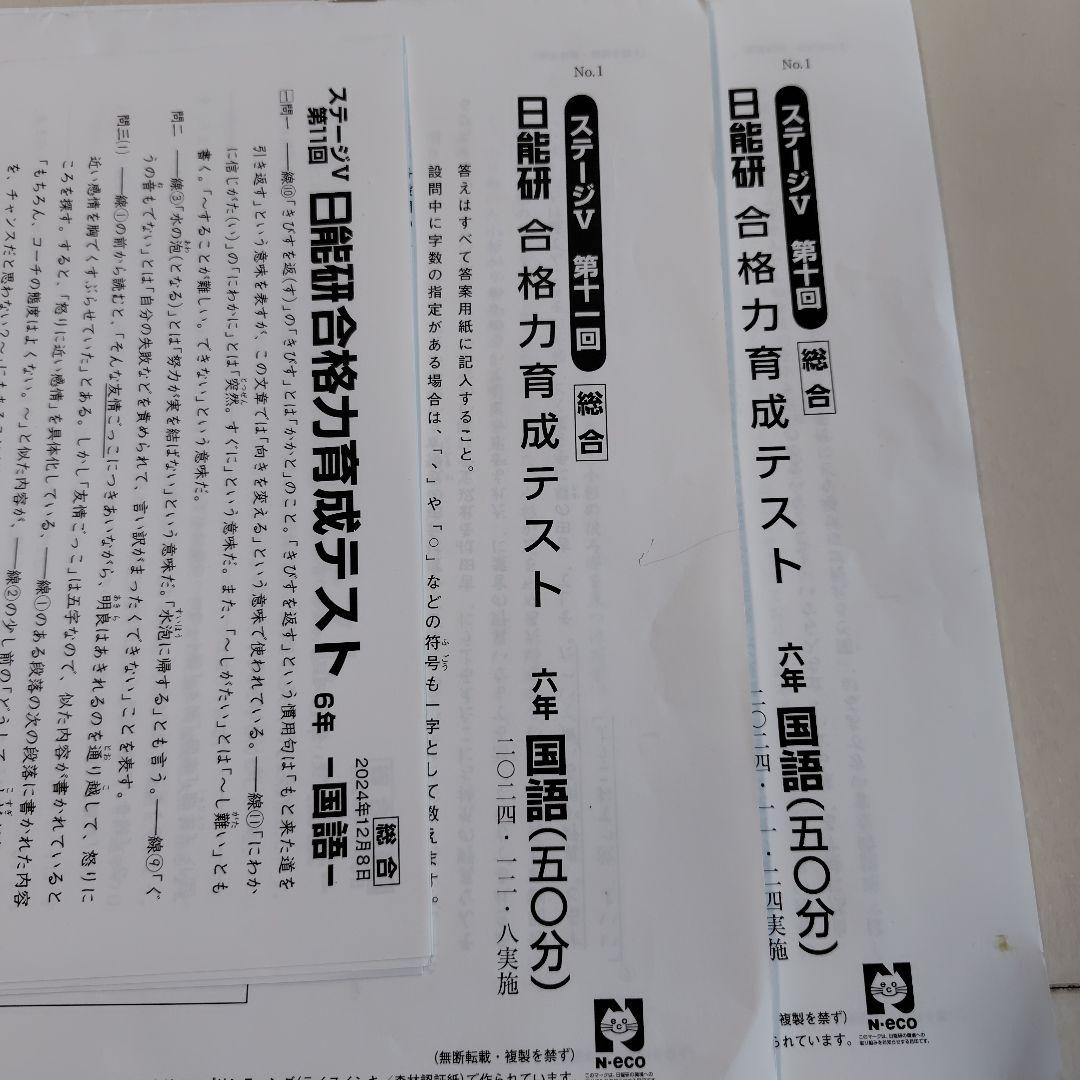最新 43回分2024年版 6年　日能研　テスト1年分　 模試