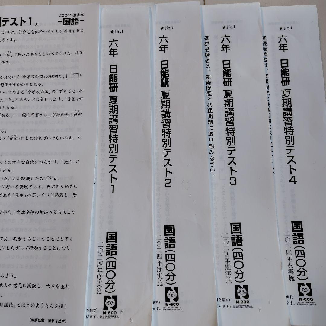 最新 43回分2024年版 6年　日能研　テスト1年分　 模試