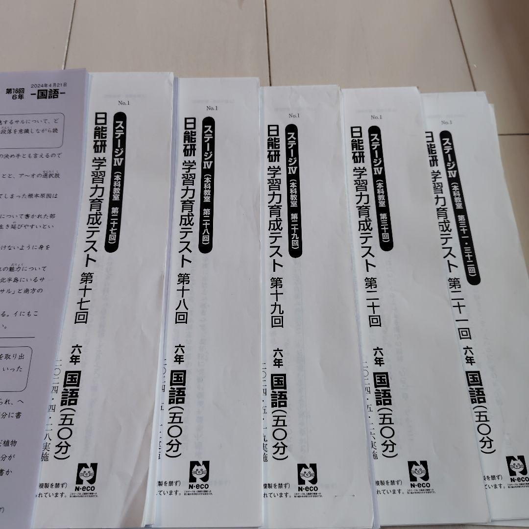 最新 43回分2024年版 6年　日能研　テスト1年分　 模試