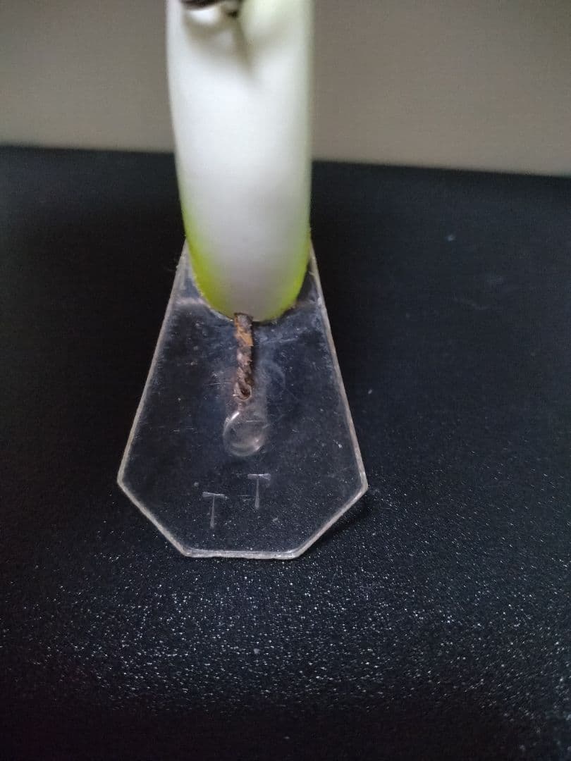 テネシータフィー・フラットサイド　TT ブルーパールイエロー　美品