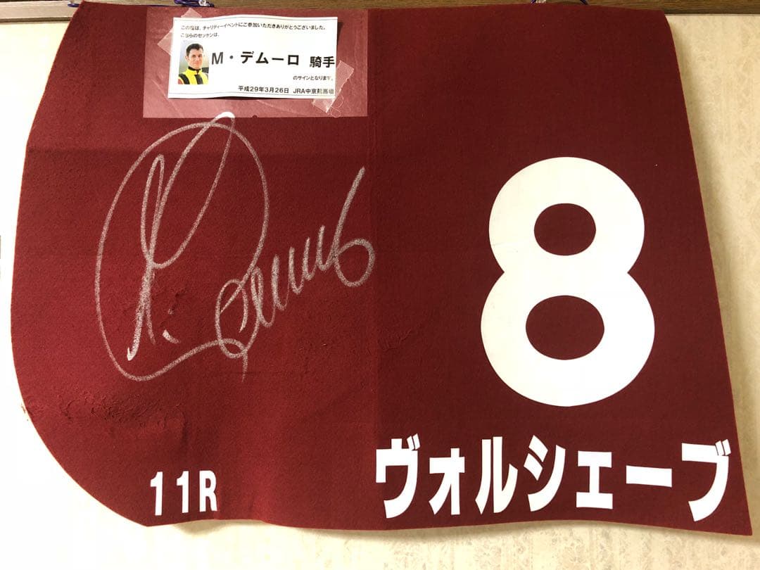 ヴォルシェーブ 実使用ゼッケン