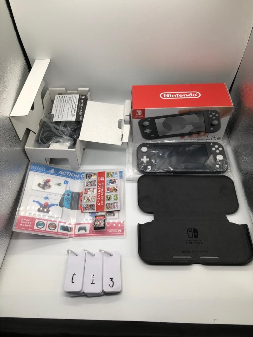 極美品 Nintendo Switch Lite ハードケース ソフト付き