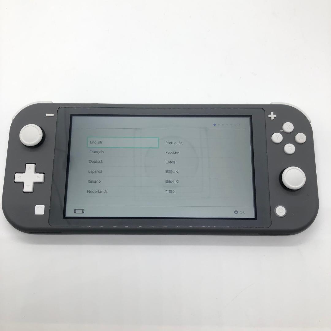 極美品 Nintendo Switch Lite ハードケース ソフト付き