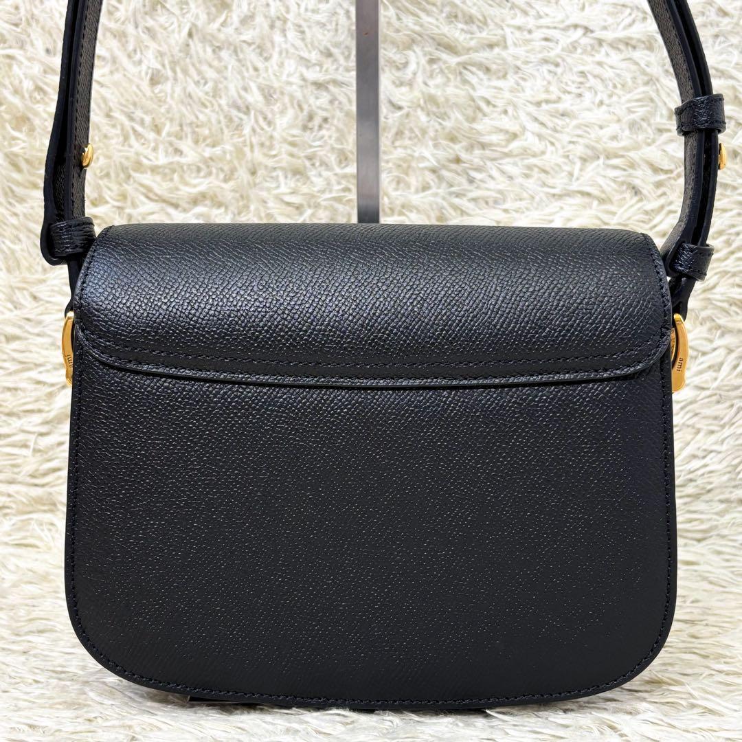 【極美品】アミパリス グレインレザー ショルダーバッグ ブラック 黒