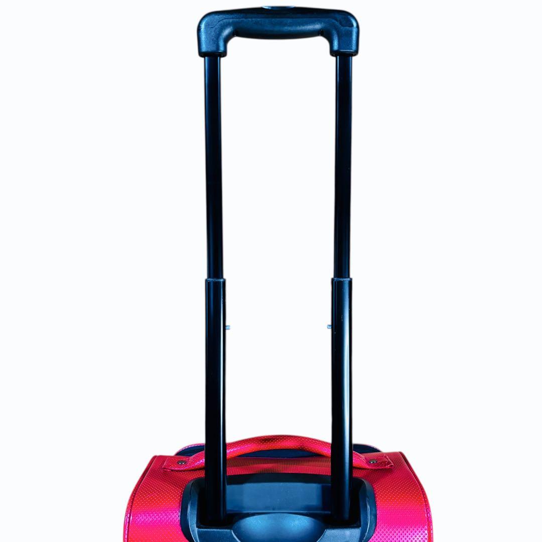 【希少】SPEC 当麻紗綾 愛用 キャリーケース ヒデオワカマツ 旅行 バッグ