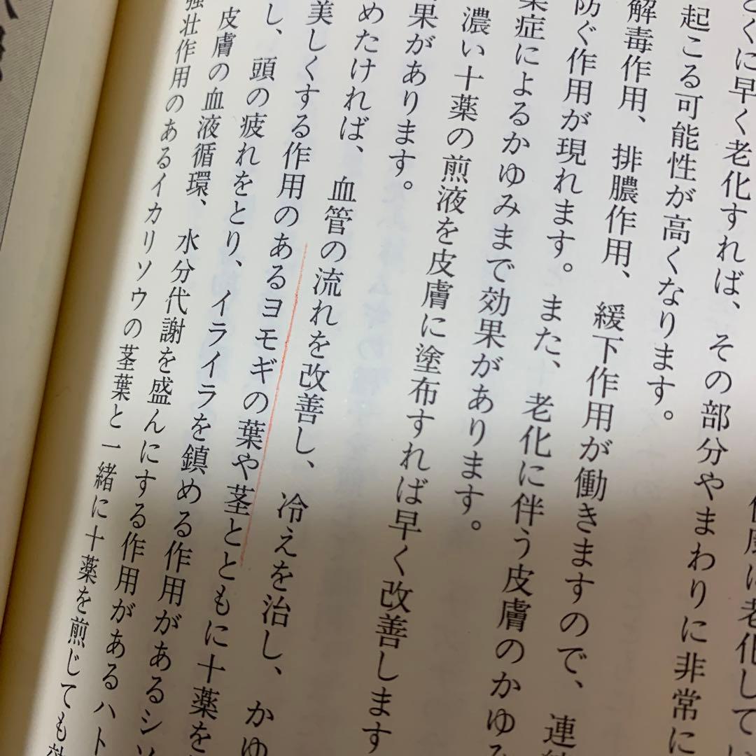 よく効くドクダミ療法／村上 光太郎