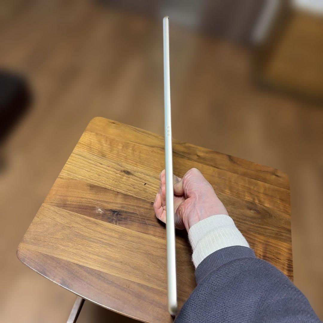 iPad Pro 12.9インチ (第2世代) 512GB Wi-Fi