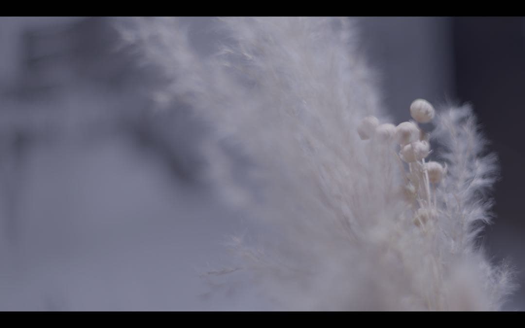 作例有　RICOH 55mm f1.4 m42マウント