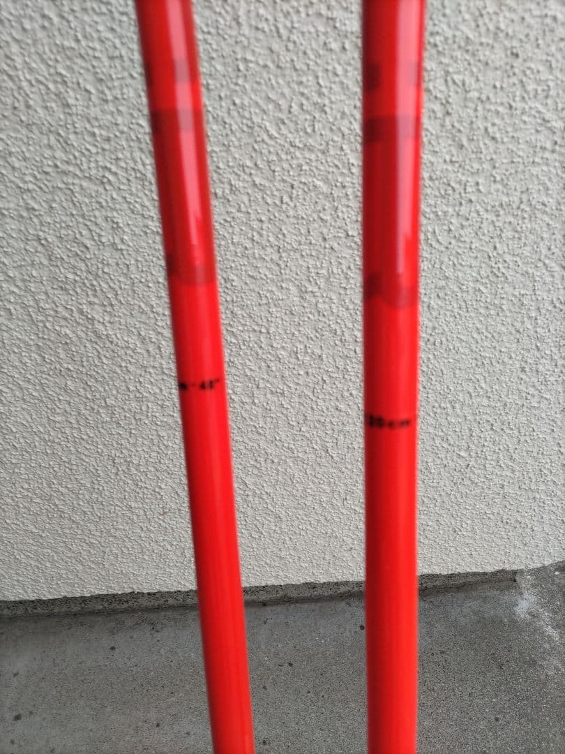 LEKI WCR GS CARBON GS カーボン 3Dポール 120cm