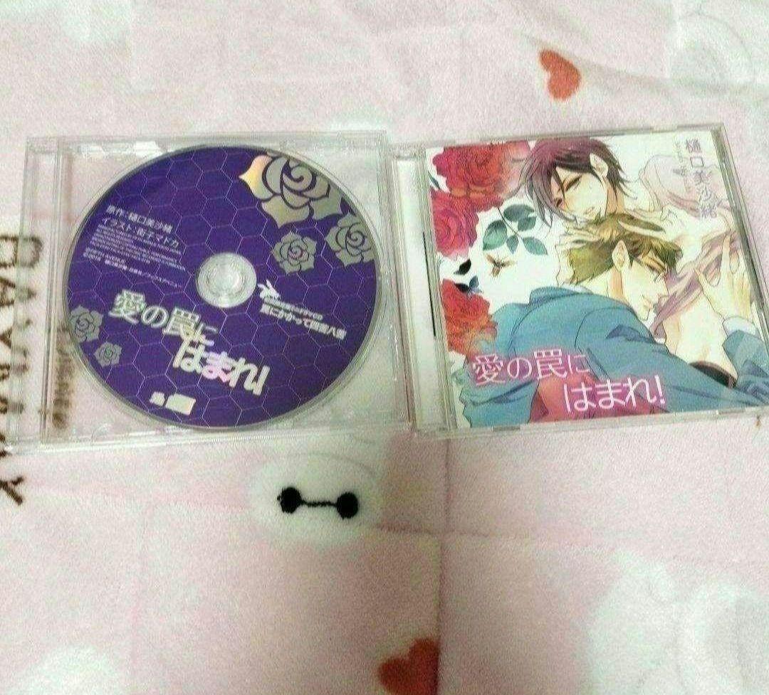 なんかもうあーあって感じCD