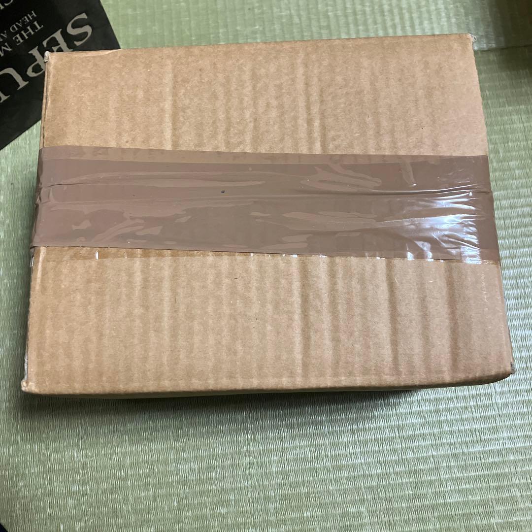 洋楽 Sepultura Meditator (Mail Order Edtion)