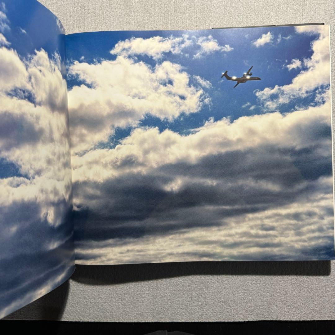 David Drebin デビッド ドレビン The Morning After