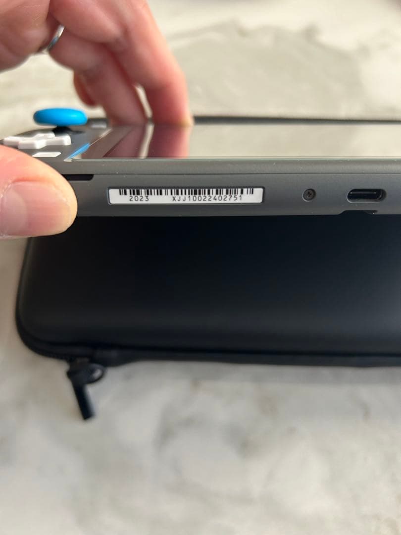 Nintendo Switch Lite グレー　ケース等おまけ付き