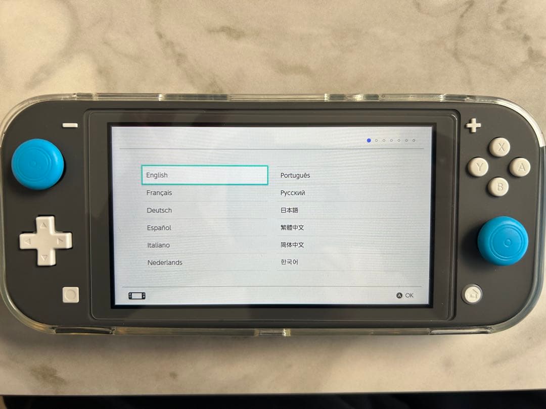 Nintendo Switch Lite グレー　ケース等おまけ付き