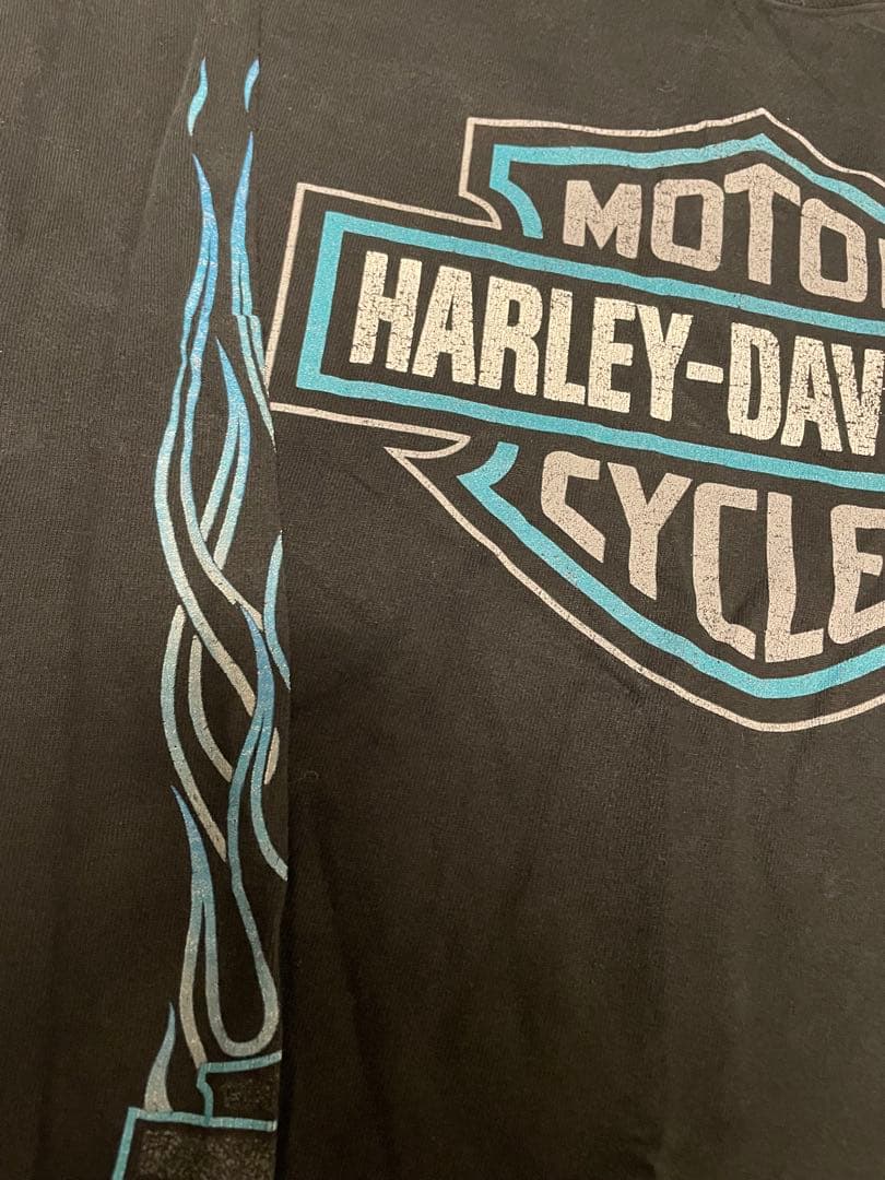 『入手困難』90s ハーレーダビッドソン ヴィンテージロングTシャツ フレイム