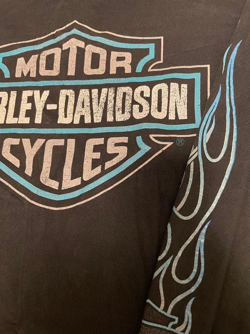 『入手困難』90s ハーレーダビッドソン ヴィンテージロングTシャツ フレイム