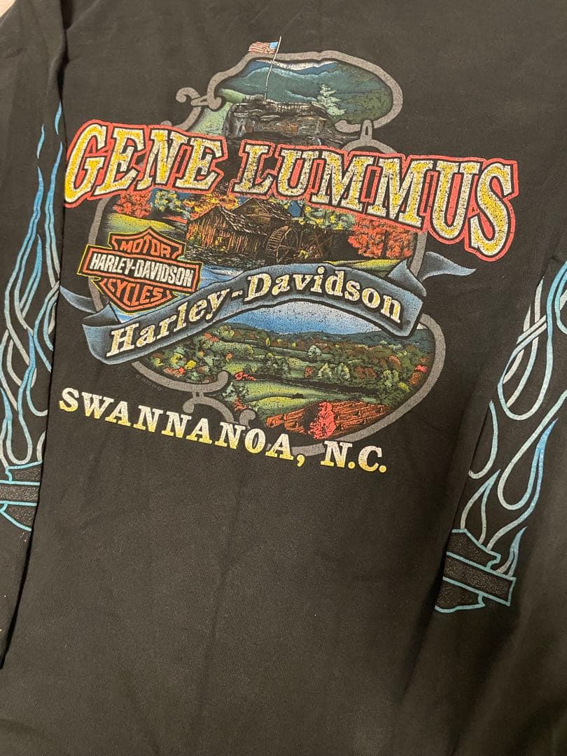 『入手困難』90s ハーレーダビッドソン ヴィンテージロングTシャツ フレイム