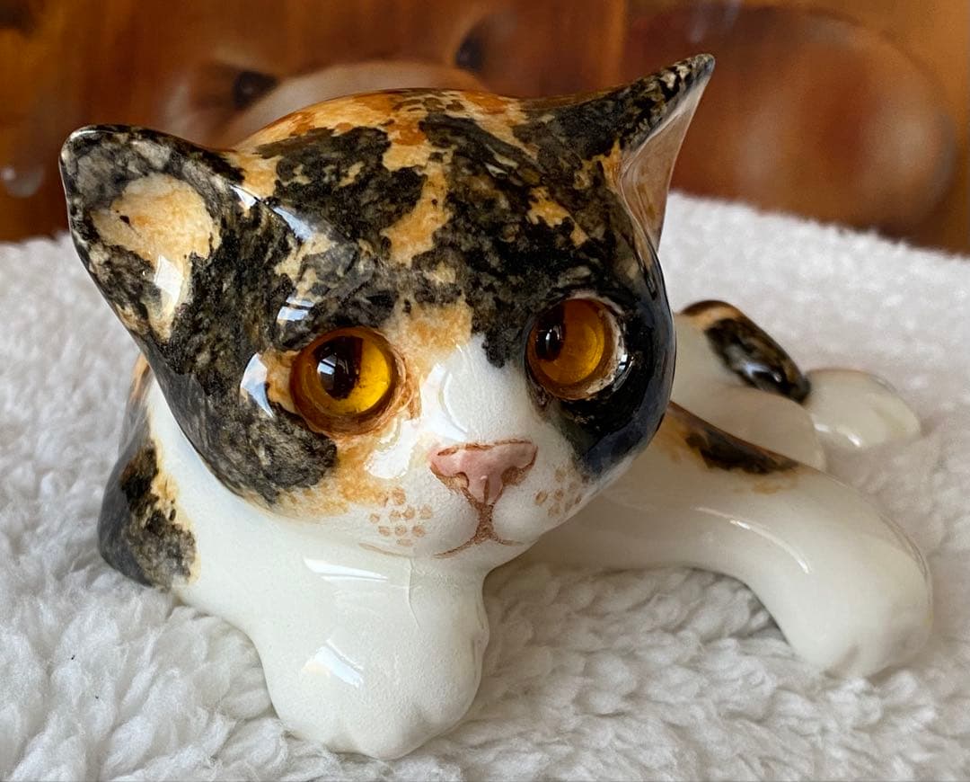 サイズ2　ウィンスタンレイキャット　ケンジントンキャット　三毛猫仔猫