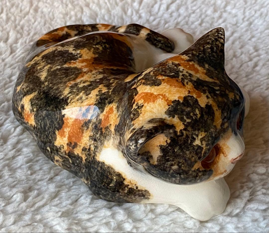 サイズ2　ウィンスタンレイキャット　ケンジントンキャット　三毛猫仔猫