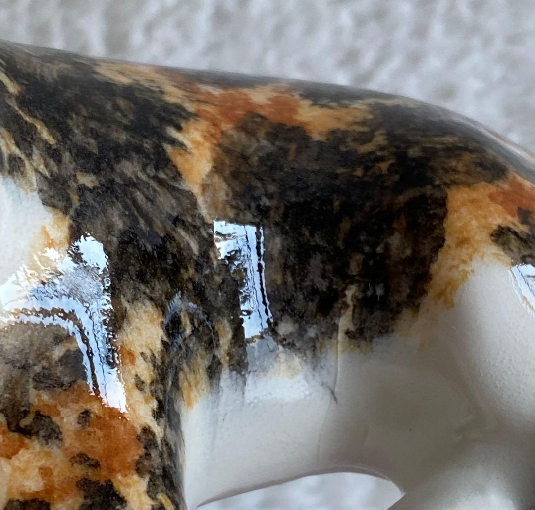 サイズ2　ウィンスタンレイキャット　ケンジントンキャット　三毛猫仔猫