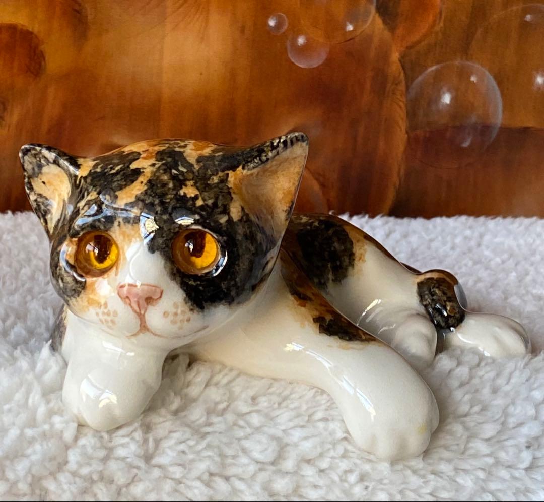 サイズ2　ウィンスタンレイキャット　ケンジントンキャット　三毛猫仔猫