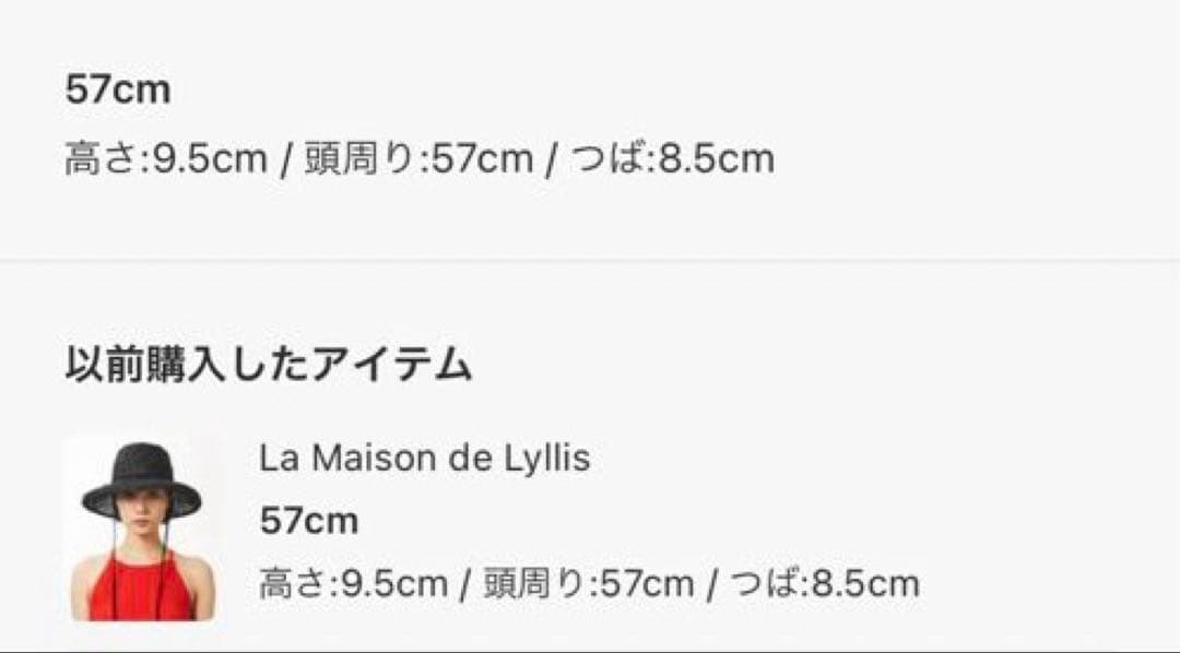 美品 La Maison de Lyllis ハット　ブラック