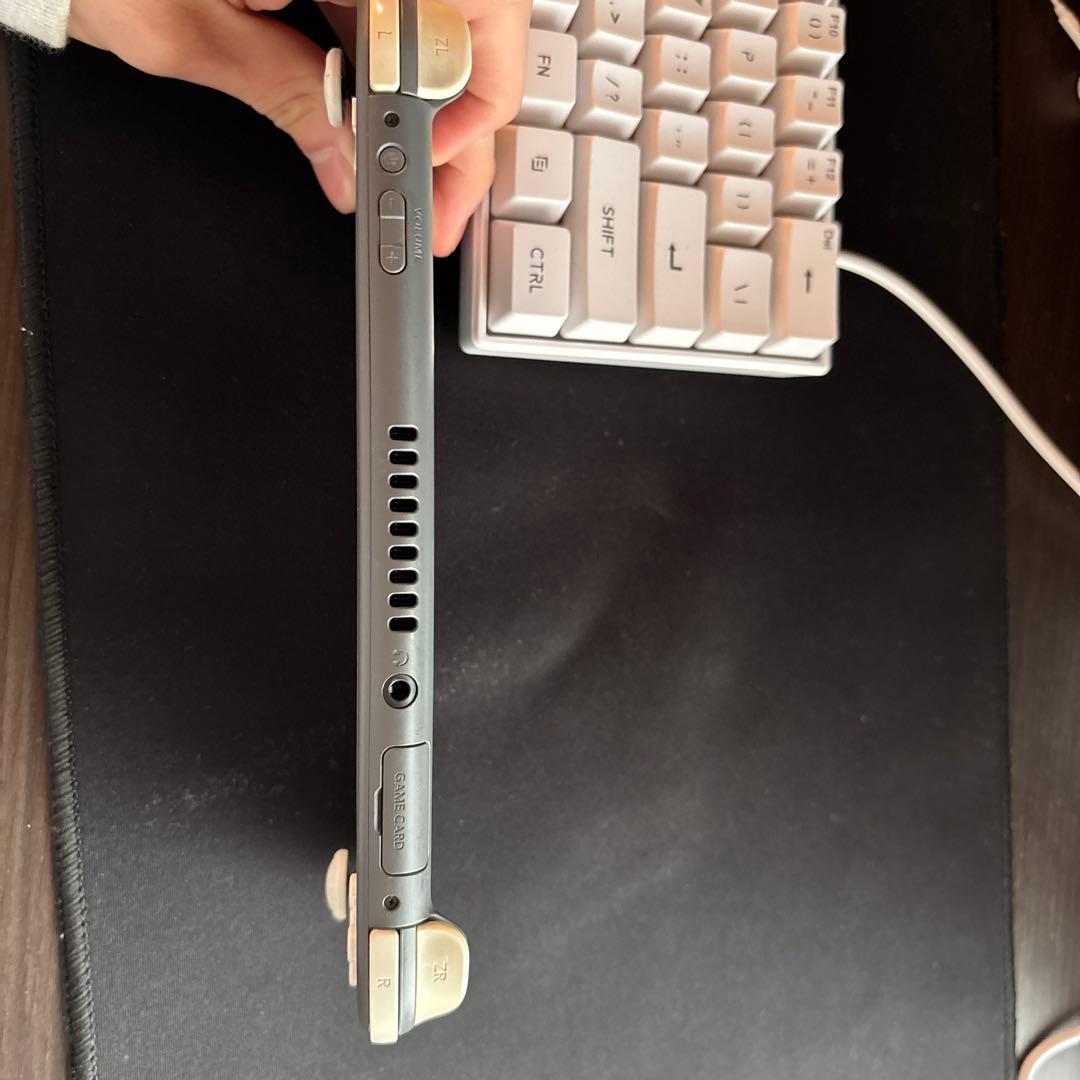 任天堂スイッチLight（灰色）