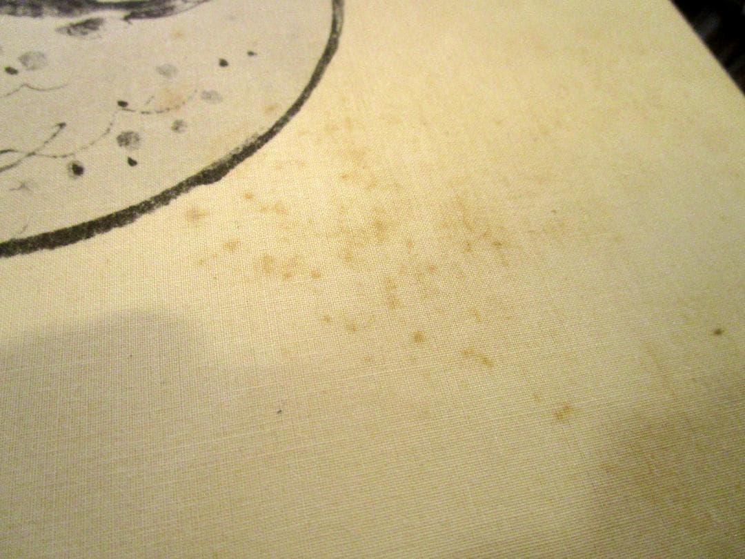 古染付百品集　上下巻2冊揃いセット 北大路魯山人　五月書房　1978年