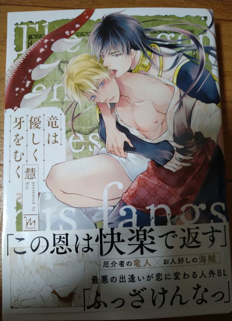 直筆サイン本　直筆イラスト入り　BL　 竜は優しく牙をむく　慧